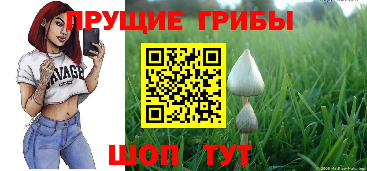 Псилоцибиновые грибы Psilocybe Ростов Великий